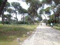 Doñana Park (47)