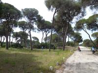 Doñana Park (48)