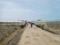 Doñana Park (54)