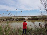 Doñana Park (7)