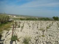 Donana Nationalpark - 10 Tage Radreise Andalusien entlang der Via Verde - Natur und Kultur in Spanien