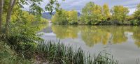 Ebro