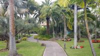 Ein tropisches Paradies - Unsere Hotel-Anlage San Jorge in Los Cancajos
