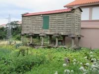 Ezaro (10)