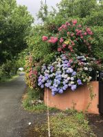 Farbenpracht