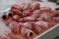 Fischmarkt in Mahon