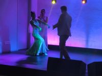 Flamenco olé 