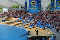 Freizeit im Loro Parque, Teneriffa