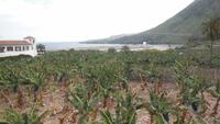 Garachico