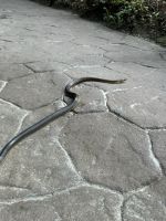 Gaztelugatxe 