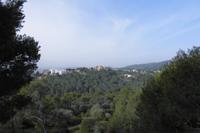 Grünes Mallorca