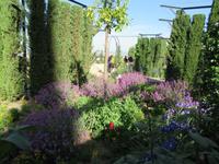 Granada (16)