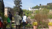 Granada