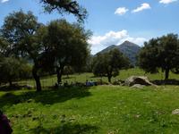 Grazalema - Wandern Andalusien 2013