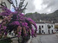 Grazalema