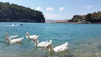 Guadalteba Nationalpark - Wanderreise Spanien – zu Fuß durch sonniges Andalusien