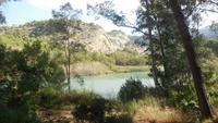 Guadalteba Nationalpark - Wanderreise Spanien – zu Fuß durch sonniges Andalusien