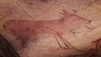 Höhle von Altamira