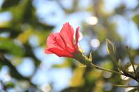 IMG_2234