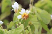 IMG_2500