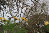 IMG_2552