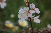IMG_2554