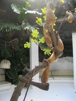 IMG_5019