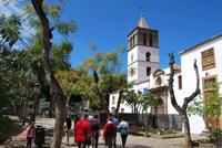 Icod de los Vinos