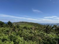Insel Ons 