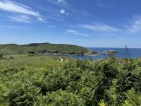 Insel Ons 