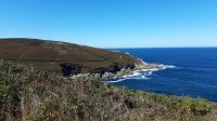 Insel Ons