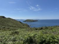 Insel Ons