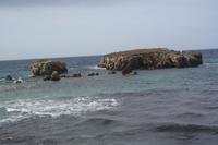 Insel mit Schild 
