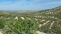 Jaen - Alcaudete - 10 Tage Radreise Andalusien entlang der Via Verde - Natur und Kultur in Spanien
