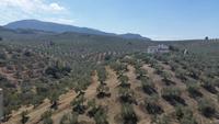 Jaen - Alcaudete - 10 Tage Radreise Andalusien entlang der Via Verde - Natur und Kultur in Spanien