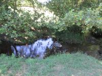 Jakobsweg (4)