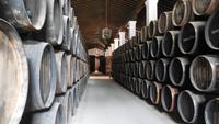 Jerez de la Frontera