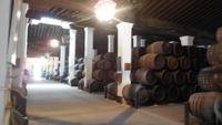 Jerez de la Frontera