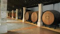 Jerez de la Frontera