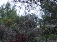 Küstenwanderung