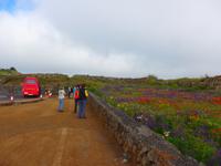 Kanaren, El Hierro