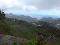 Kanaren, Teneriffa