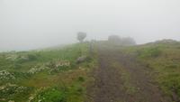 La Dehensa Wanderung
