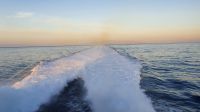 La Gomera ade
