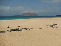 La Graciosa Ausflug - Wanderreise auf Lanzarote - Singlereisen - Wandern - Lanzarote - Spanien