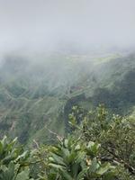 La Laguna im Nebel