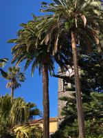 La Laguna