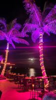 La Ola - Bar  in Puerto del Carmen