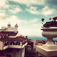 La Orotava