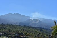 La Palma - Tajuya